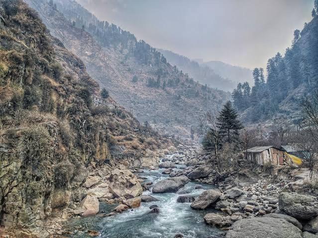 Mystic Forest View Kasauli I Serviced Villa I Best Seller I Vacations I Family Events I Open Air Lawn I Sky Bonfire I Kasauli By Exotic Stays Exterior photo