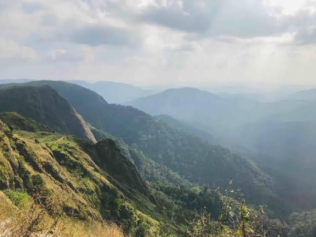 Mystic Forest View Kasauli I Serviced Villa I Best Seller I Vacations I Family Events I Open Air Lawn I Sky Bonfire I Kasauli By Exotic Stays Exterior photo