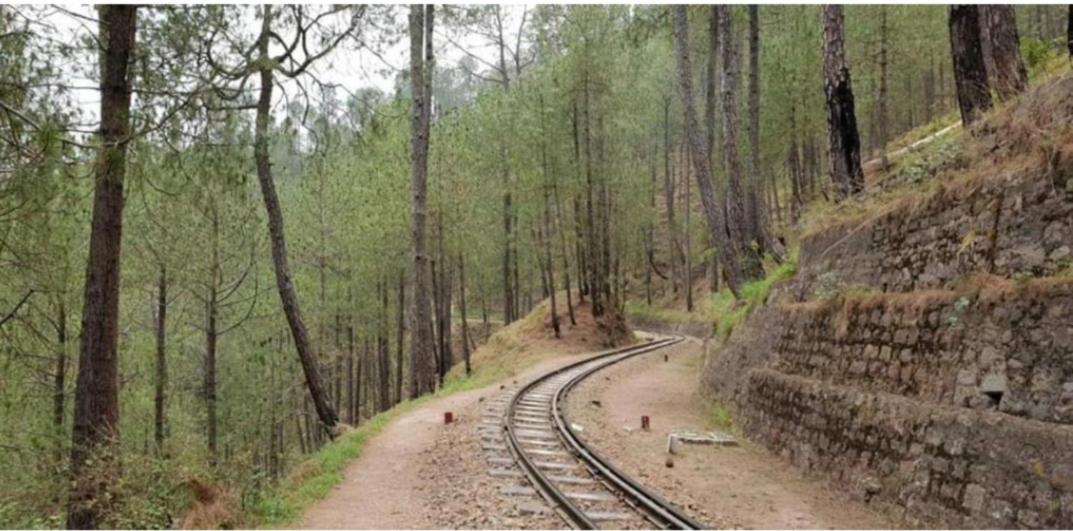 Mystic Forest View Kasauli I Serviced Villa I Best Seller I Vacations I Family Events I Open Air Lawn I Sky Bonfire I Kasauli By Exotic Stays Exterior photo